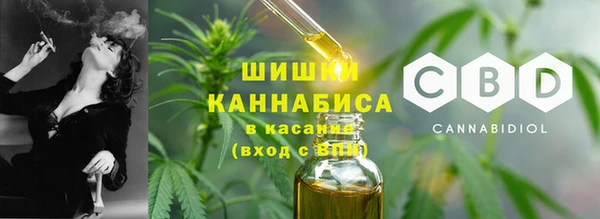 стаф Лихославль