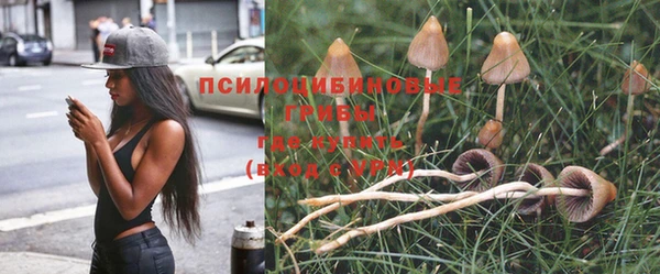 амф Михайловка