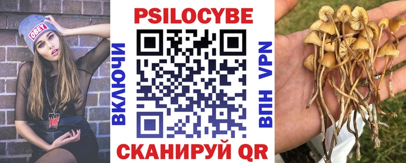 Галлюциногенные грибы Psilocybe  как найти наркотики  Чулым 